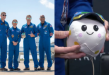 Artemis II: curiosidades que marcaron el regreso humano a la órbita lunar