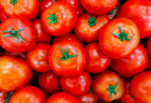 Claudia Sheinbaum busca acuerdo con productores de jitomate para frenar la inflación