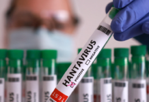 Moderna inicia estudios para vacuna contra el hantavirus y sus acciones se disparan