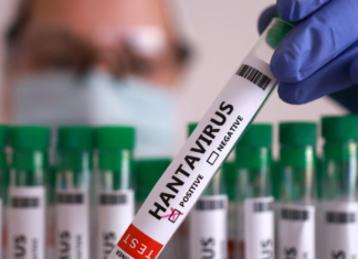 Moderna inicia estudios para vacuna contra el hantavirus y sus acciones se disparan