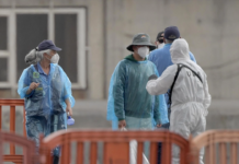 OMS emite recomendaciones ante el hantavirus; pide aislamiento, vigilancia y cuarentena en casos de riesgo