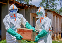 Brote de ébola deja ya 220 muertos y OMS advierte que la epidemia “está superando” la respuesta