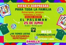 Invitan a cambiar estampas en El Palomar; habrá rifas y sorpresas para toda la familia