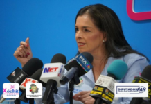 Diputada Xóchitl Contreras anuncia respaldo total al Instituto Tesla y cuestiona resolución del juez José Chaparro por favorecer a los señalados
