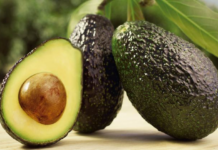 Aguacate: cuáles son sus beneficios y por qué es considerado un “superalimento”
