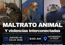 Invita Gobierno Municipal al Foro “Maltrato Animal y Violencias Interconectadas”