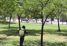 Protege Municipio los espacios públicos con fumigación preventiva diaria