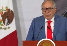 Salud confirma tres casos de ciclosporiasis en México; descartan brote y vínculo comprobado con lechuga