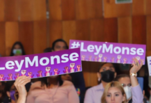 De la tragedia de Monse Bendimes a la Ley Monse: el caso que marcó un precedente en México