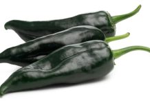 Se dispara el precio del chile poblano en plena temporada de chiles en nogada