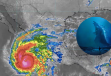 Se fortalece la amenaza de un intenso fenómeno de El Niño; ONU alerta por más calor y eventos extremos