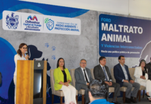 Un éxito foro sobre prevención del maltrato animal con 170 asistentes: Municipio