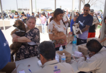 Llama Estado a prevenir enfermedades transmitidas por animales en el Día Mundial de la Zoonosis