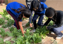 Huertos escolares siembran aprendizaje en comunidades rurales de Chihuahua Capital