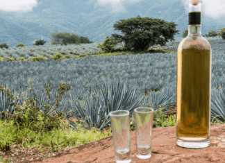 Día Internacional del Tequila: el destilado que conquistó al mundo y representa la identidad de México