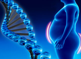 ¿La obesidad se hereda? El papel de los genes en la relación con la comida, según especialistas