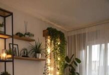 Plantas de interior que serán tendencia en 2026: belleza, bienestar y estilo