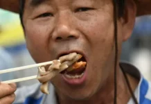 Corea del Sur se despide de la carne de perro: en 2027 entrará en vigor la prohibición