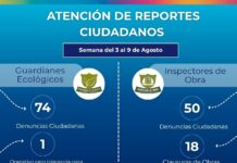 Atiende Desarrollo Urbano del Municipio 124 reportes ambientales y de obra en la ciudad