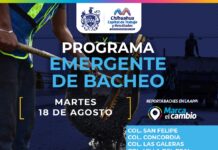 Ocho zonas tendrán bacheo este martes 18 de agosto: Municipio