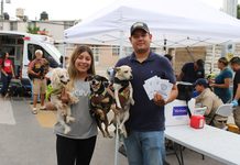 Prevenir es proteger: exhorta Municipio a vacunar, esterilizar y desparasitar a mascotas