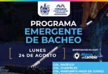 Ocho zonas tendrán bacheo este lunes 24 de agosto: Municipio