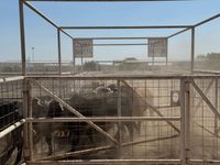Celebra Secretaría de Desarrollo Rural próxima reapertura a la exportación de ganado chihuahuense a Estados Unidos