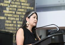 Garantiza Congreso el acceso de las personas con discapacidad, acompañadas de perros guía, a todos los espacios y al transporte público