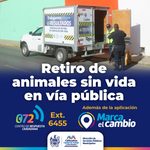 Ofrece Gobierno Municipal servicio de retiro de animales sin vida en la vía pública