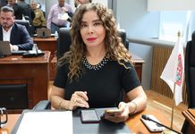 “Vil pirotecnia política” llamar logro a un operativo aislado: María Antonieta Pérez