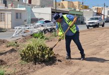 Instala Municipio sistema de riego en el camellón central de la avenida Los Arcos