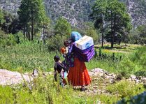 Lleva Estado NutriChihuahua a comunidades de difícil acceso en la Sierra Tarahumara
