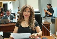Por la salud mental y unidad de las familias, hemos aprobado iniciativa para permiso de paternidad de hasta 30 días: María Antonieta Pérez
