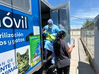 Llevará Municipio Esterimóvil a Villa Juárez con esterilizaciones gratuitas para perros y gatos