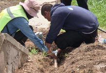 Avanza Municipio con rehabilitación del sistema de riego del parque Santa María