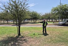 Mantiene Gobierno Municipal fumigaciones diarias en parques y espacios públicos de Chihuahua Capital