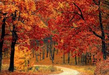 Este 22 de septiembre inicia el otoño: estos son los cambios que traerá a México
