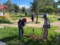 Arranca Gobierno del Estado jornada de reforestación en el Fraccionamiento Monumental