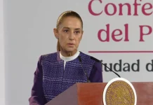 Sheinbaum descarta fin del T-MEC; México y Estados Unidos negocian por separado