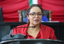 Elizabeth Guzmán exige explicar por qué Chihuahua no suscribió estrategia nacional contra la violencia sexual infantil