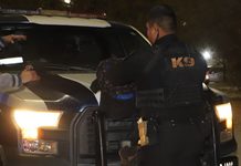 Aumentó Policía Municipal 68% las detenciones por narcomenudeo de enero a septiembre de 2026