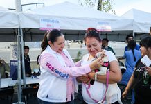 Busca diputada Joss Vega cerrar vacíos legales y castigar penalmente la zoofilia en Chihuahua