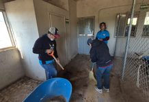 Jóvenes del CAM realizan su servicio social en el Vivero Municipal y llenan de alegría cada jornada