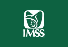 Trabajadores del IMSS alistan protestas nacionales para exigir mejores salarios y cambios sindicales